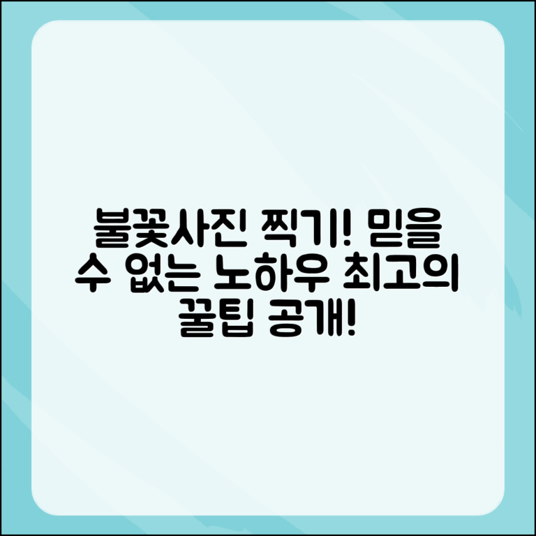 믿을 수 없는 최고의 불꽃사진 찍기 노하우!