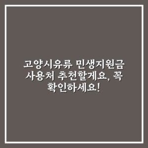 고양시유류 민생지원금 사용처 추천할게요, 꼭 확인하세요!