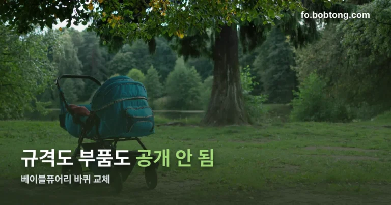 베이블퓨어리 바퀴 교체 정리 썸네일