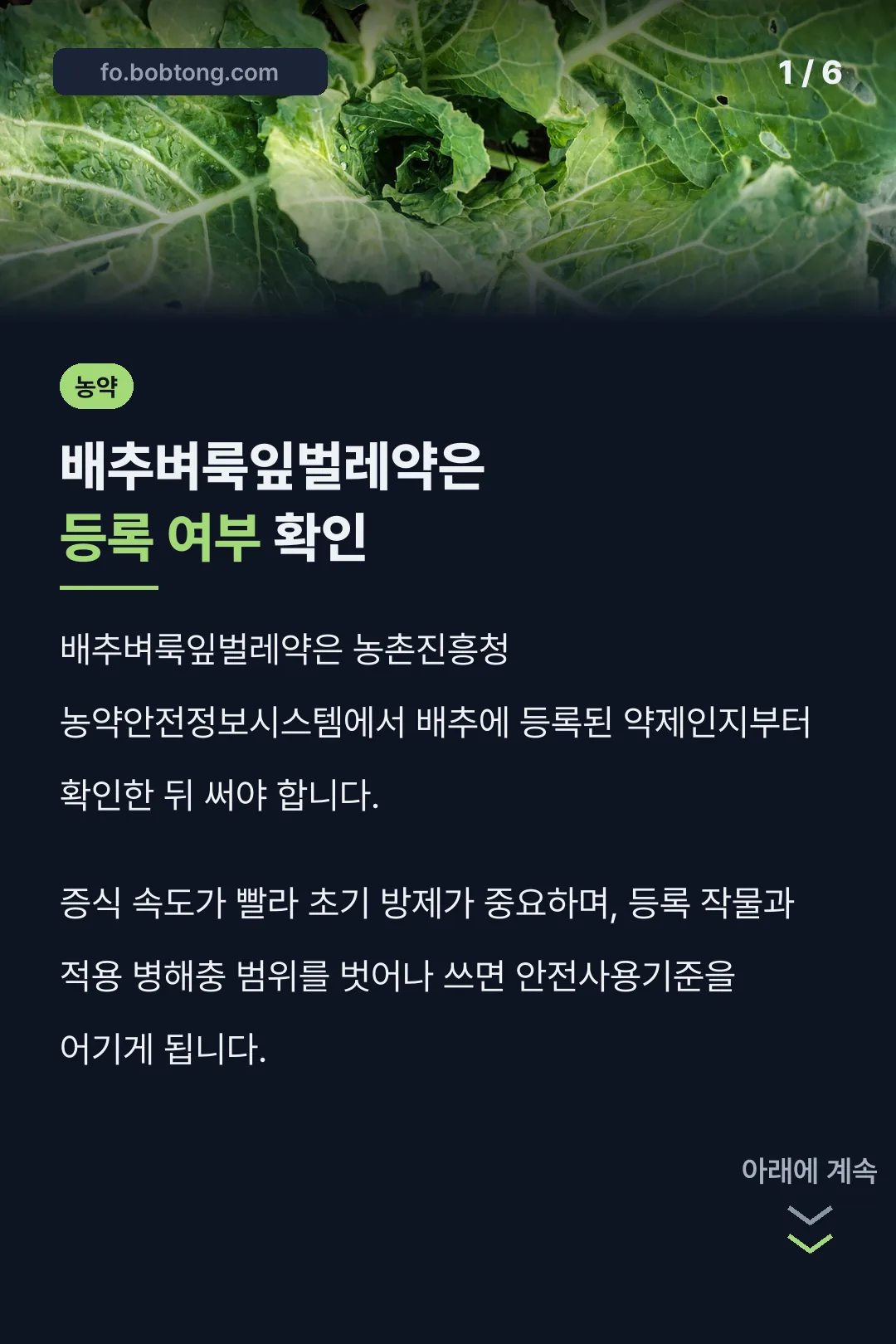 배추벼룩잎벌레약은 등록 여부 확인