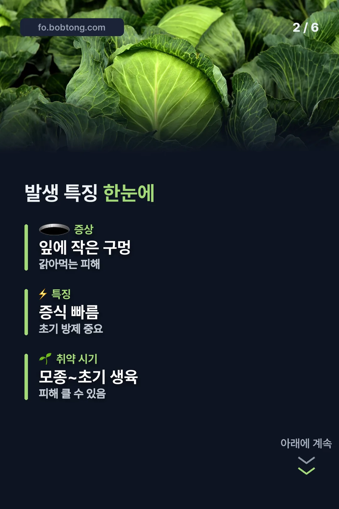 발생 특징 한눈에 보기
