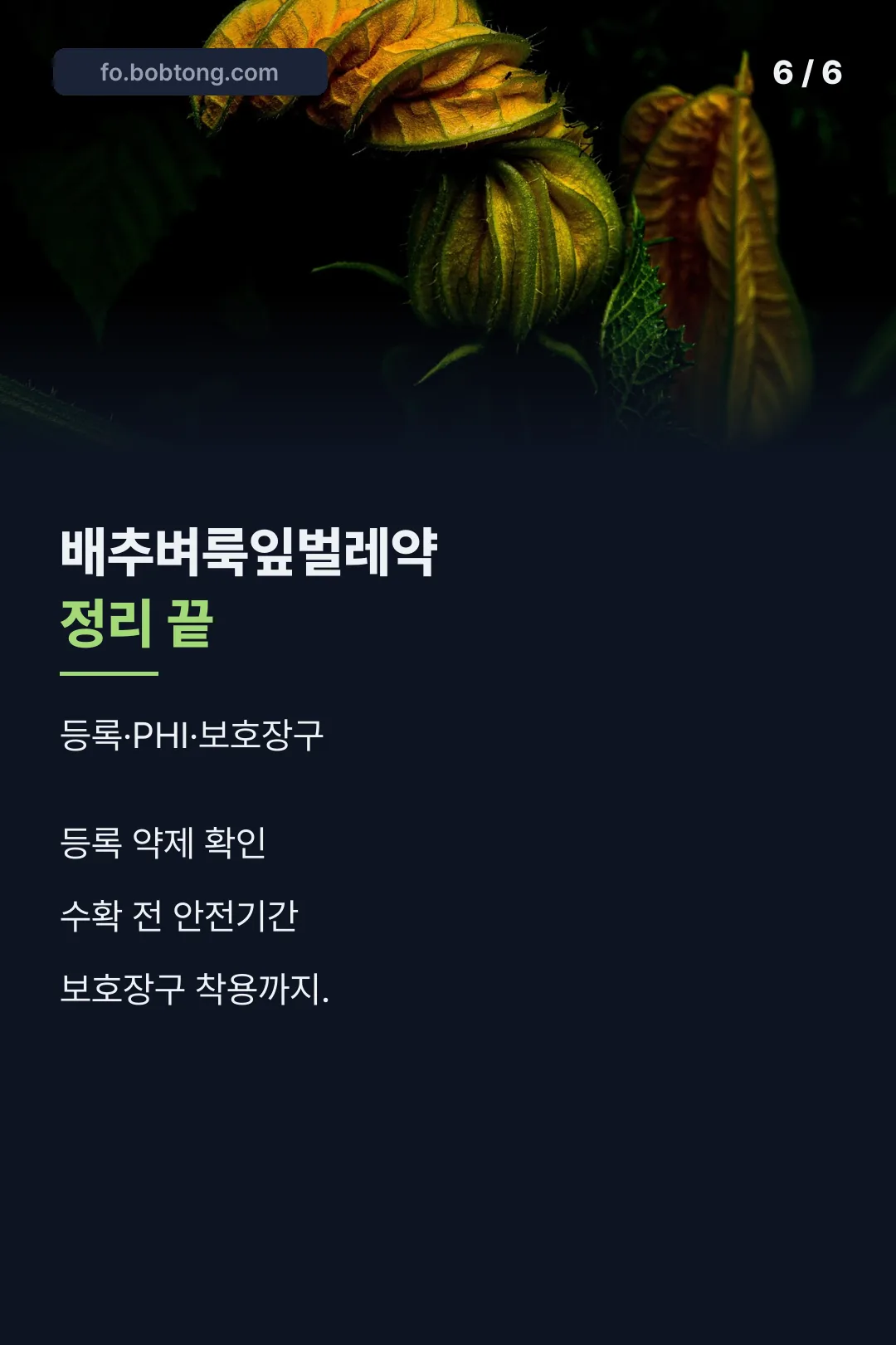 마무리 정리