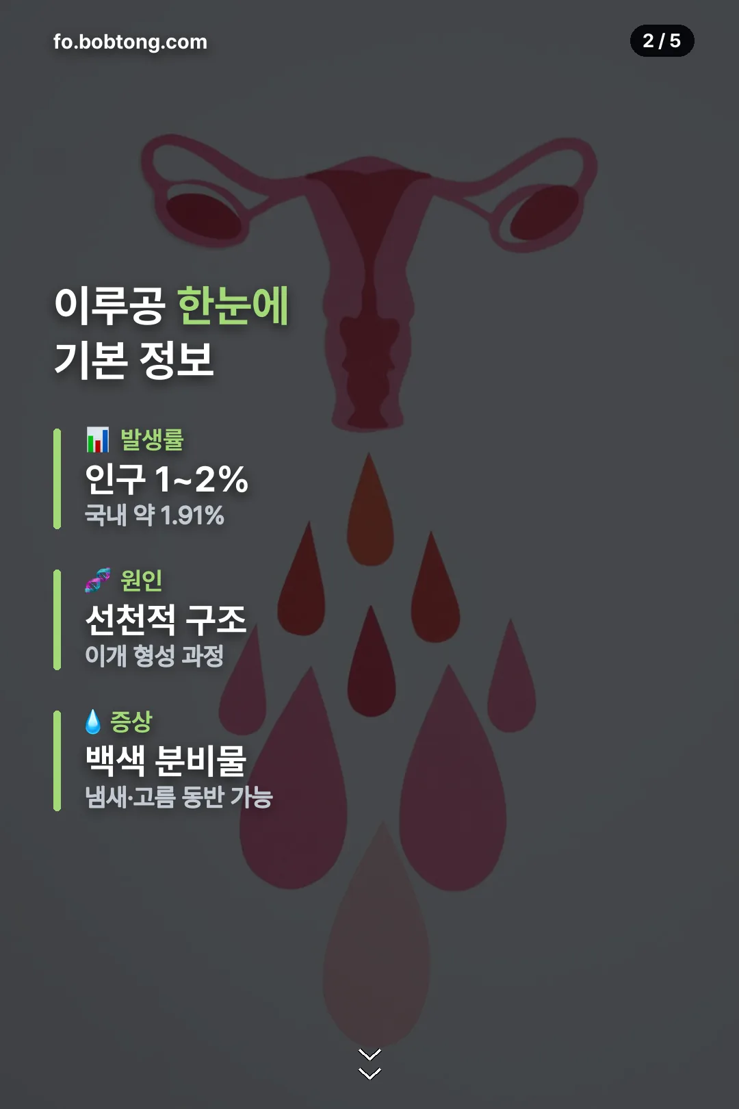 이루공 기본 정보