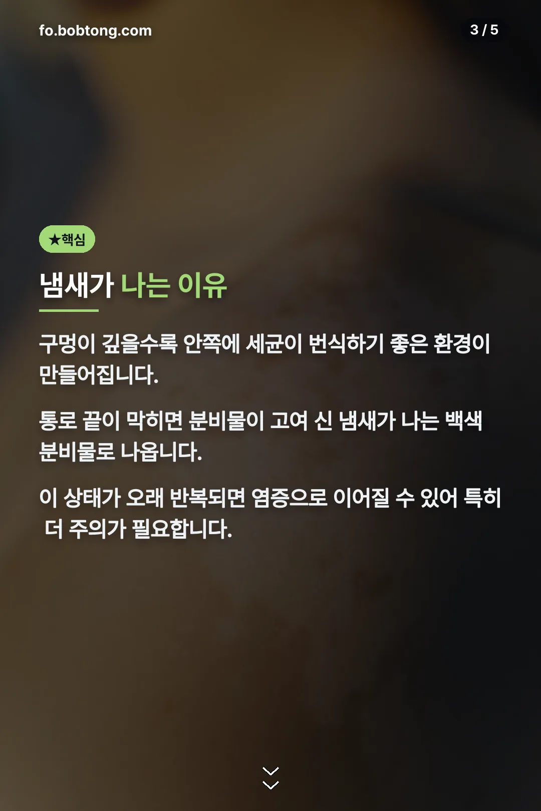 냄새가 나는 이유