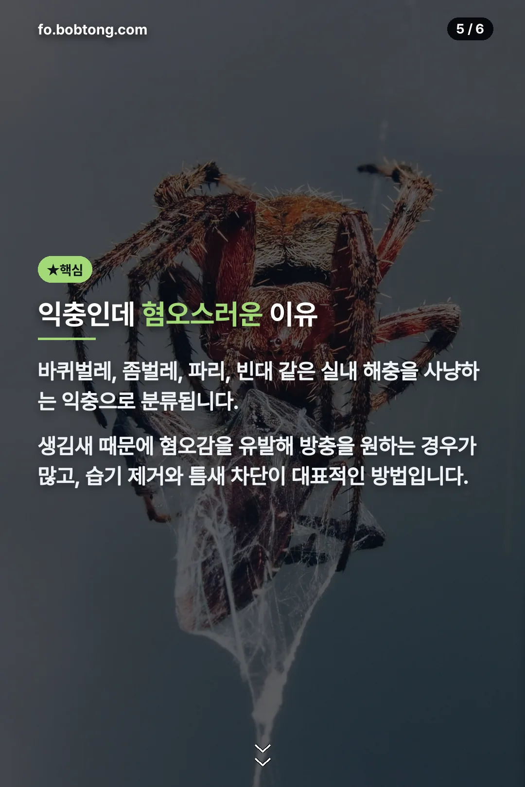 익충인데 혐오스러운 이유