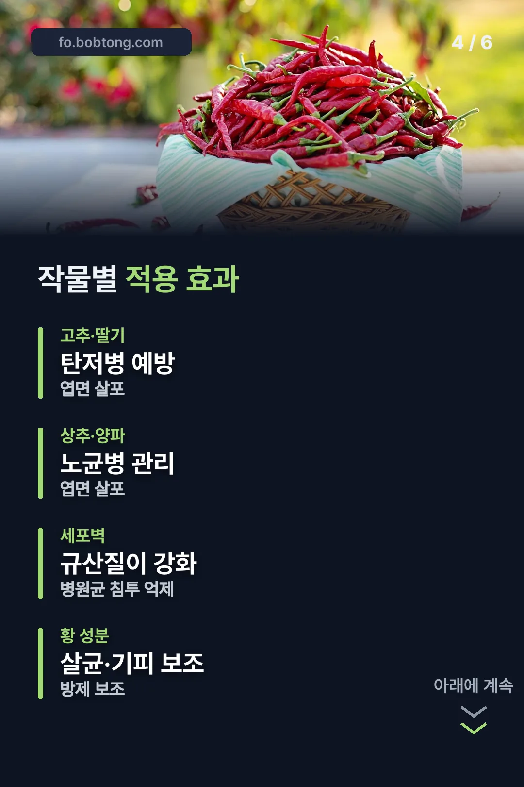 작물별 적용 효과