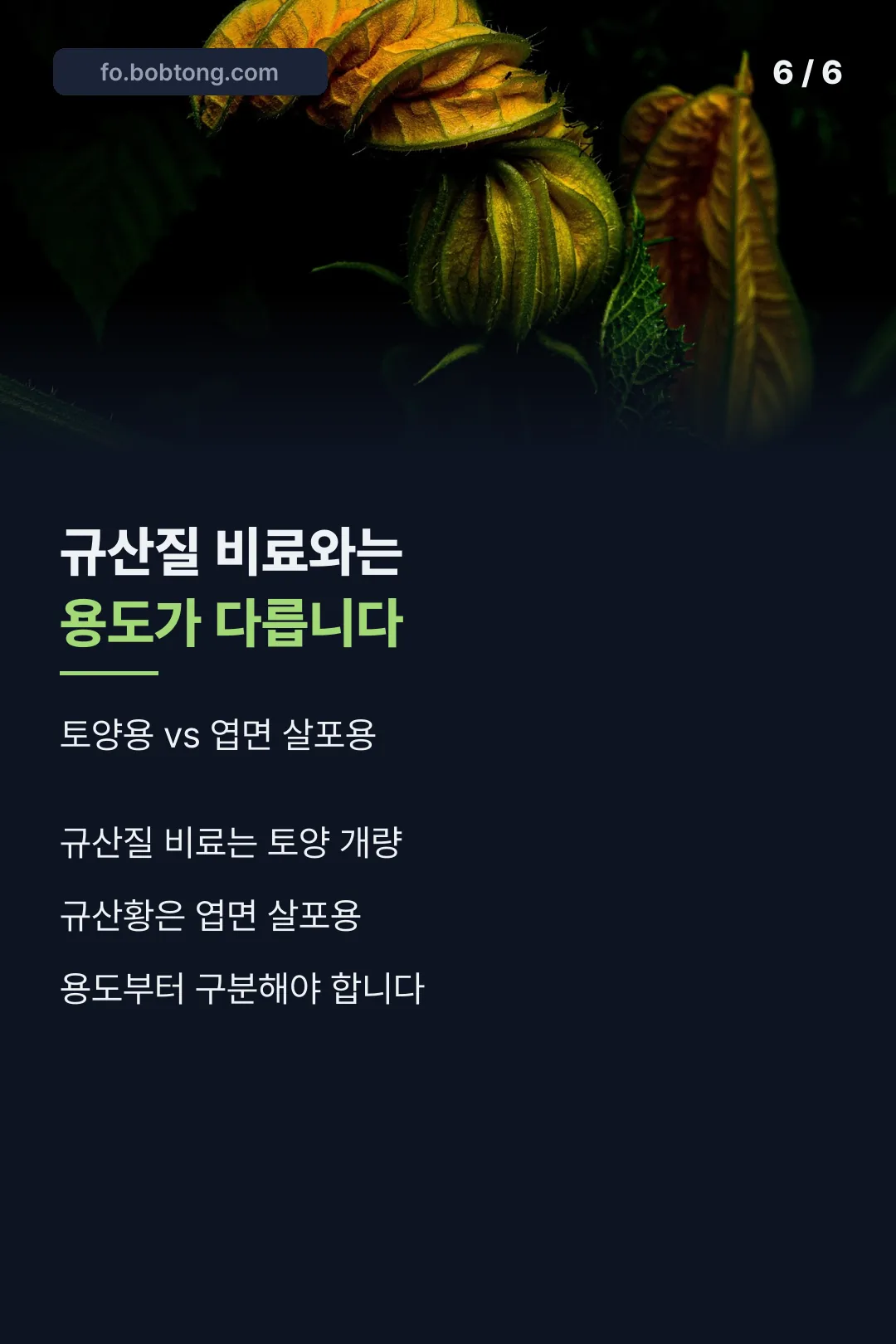 규산질 비료와 구분