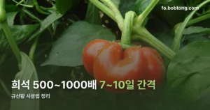 규산황 사용법 정리 썸네일