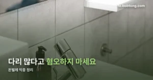 돈벌레 익충 정리 썸네일