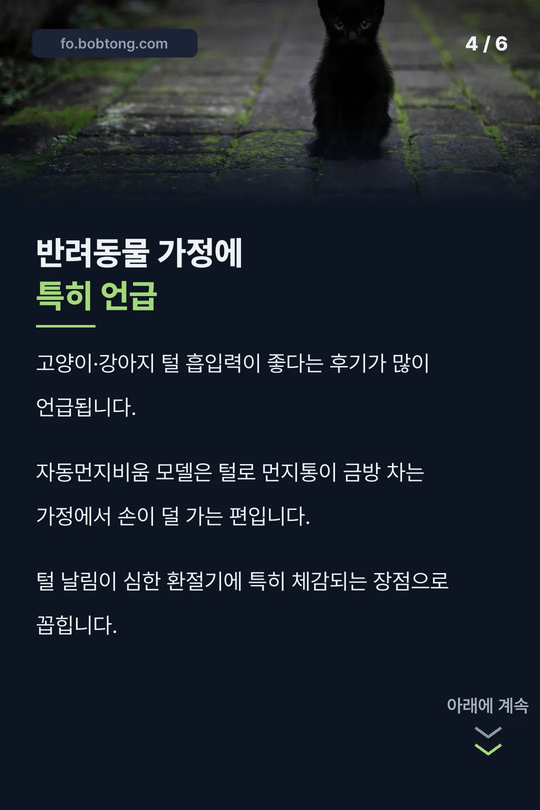 반려동물 가정 후기