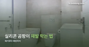 실리콘 곰팡이 제거 정리 썸네일