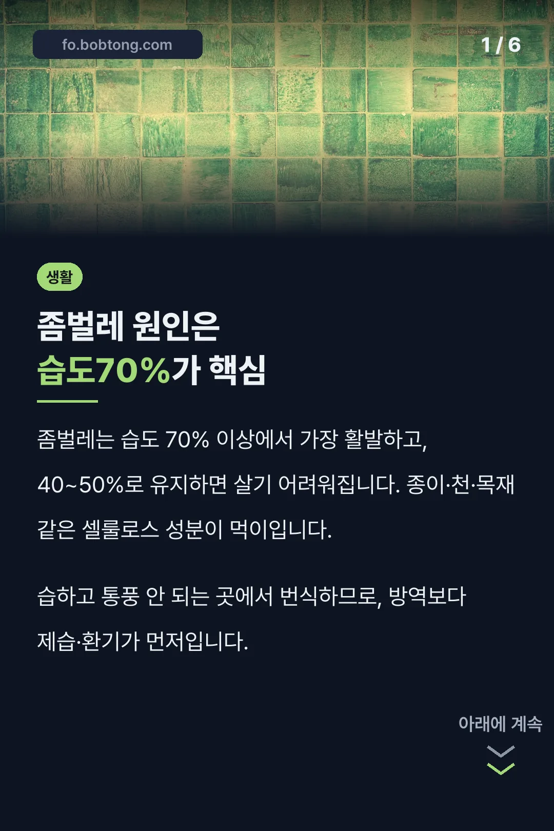 좀벌레 원인은 습도70%가 핵심