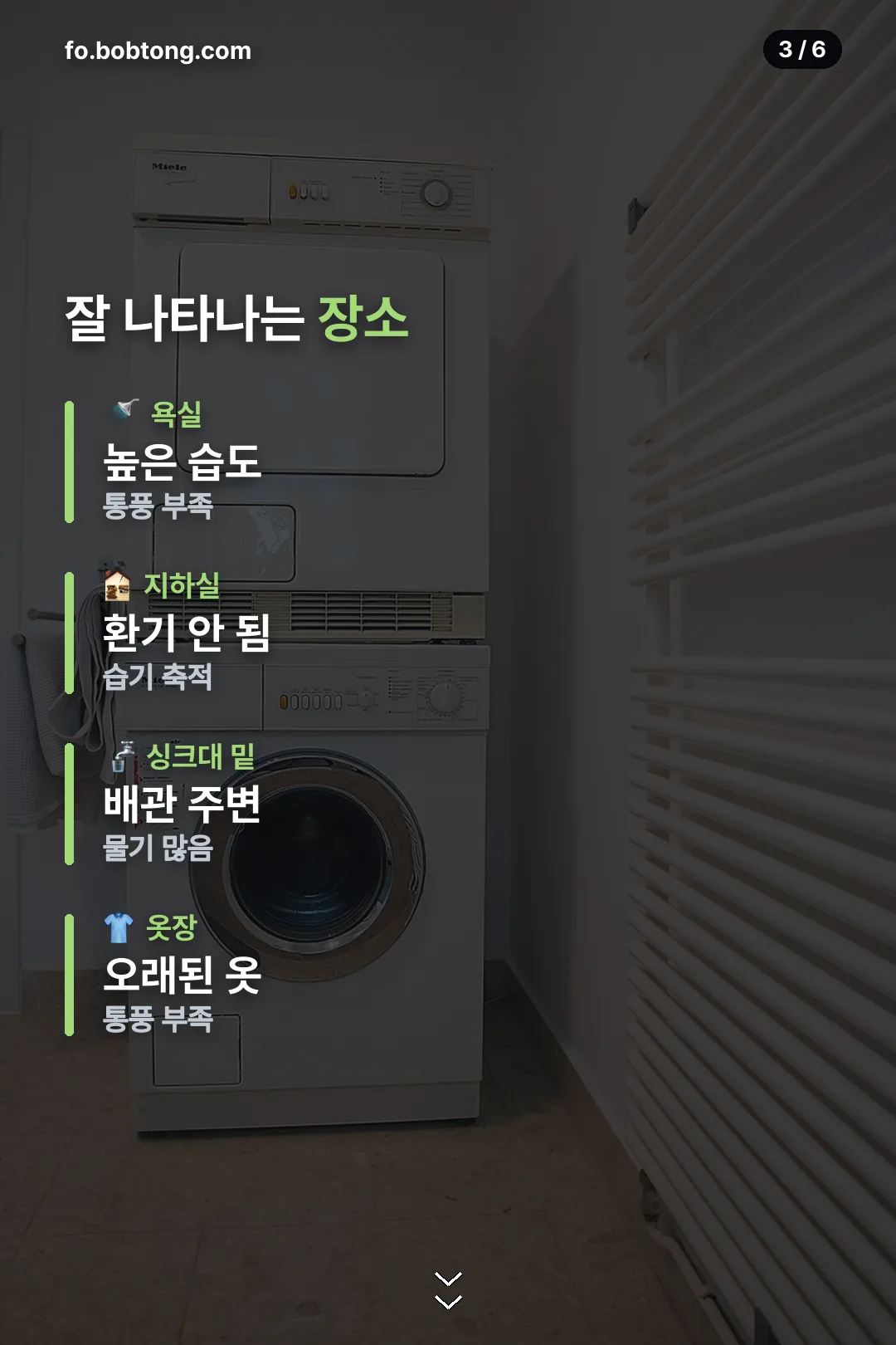 잘 나타나는 장소