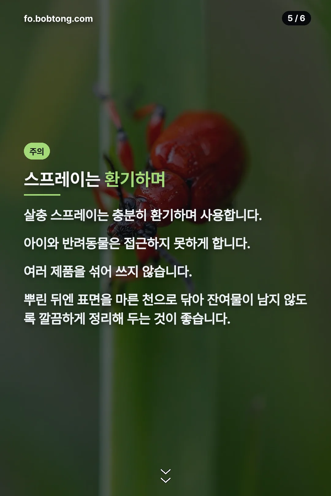 스프레이 사용 주의