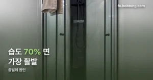 좀벌레 원인 정리 썸네일