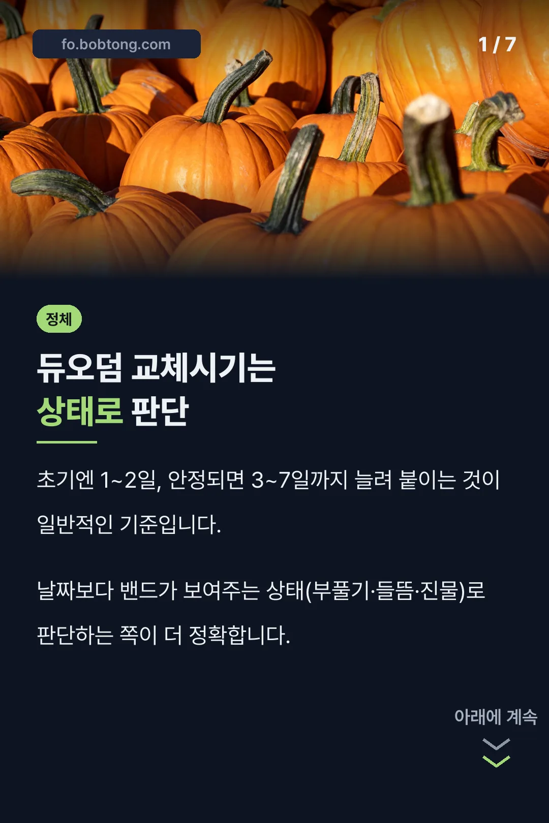 듀오덤 교체시기 기준