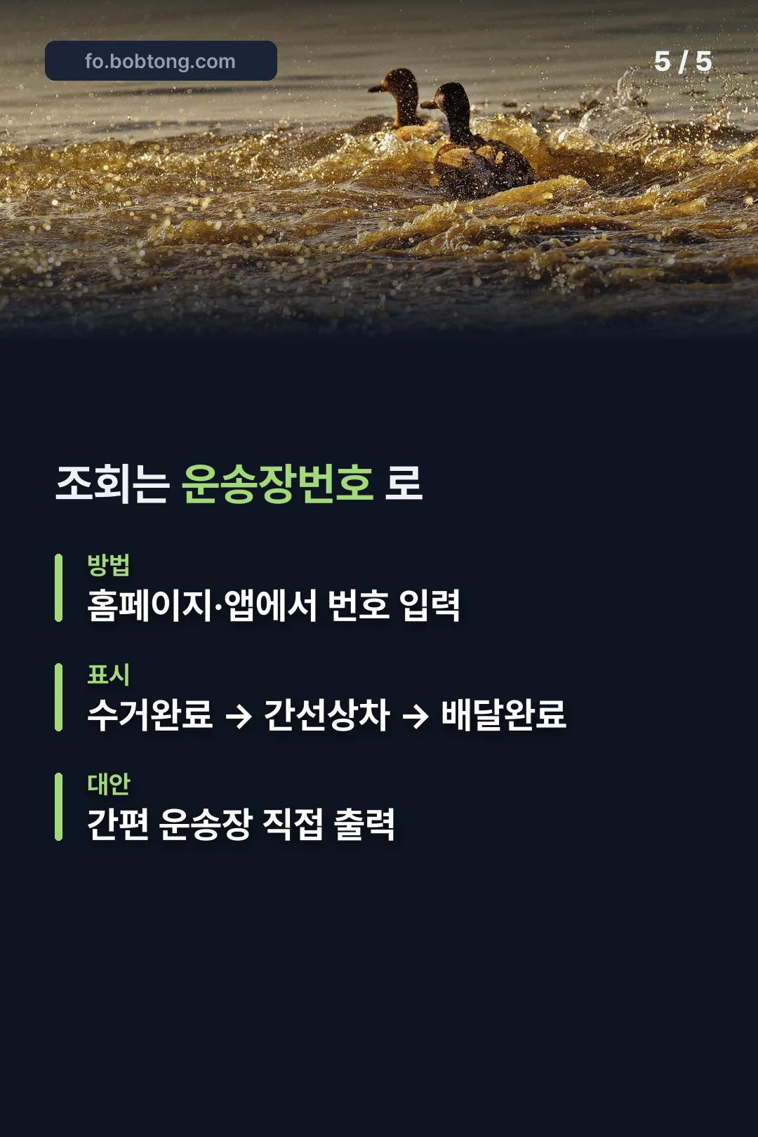 배송 조회 방법
